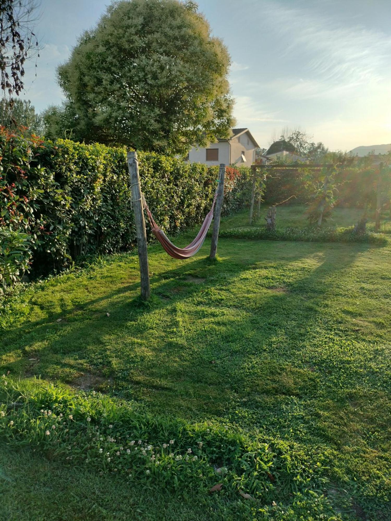 B&B La Rosa Nel Verde Lucca Dış mekan fotoğraf